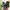 Boots Timberland Yellow Icon Dr Martens Clark Wallabes Jorts