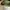 CRUMPLER the one million dollar home photo 5