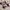 Nike Air Jordan 1 Elevate Low  photo 4