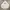 Thisisneverthat International Logo photo 1