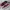 VANS Skater Casual Sneakers Pria burgundy white photo 1