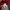 Vintage 2000s Audi Official Merchandise Half Button Long photo 4