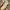 Reebok x Gigi Hadid Freestyle High Nova Ripple Chalk White  photo 5