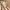 Reebok x Gigi Hadid Freestyle High Nova Ripple Chalk White  photo 6
