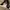 Pierre Hardy original heels photo 7