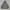 Outdoor Jacket by Sports Authority photo 2