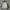 Outdoor Jacket by Sports Authority photo 8