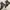 Dr Martens 1460 Blacksmooth Serena Made in Thailand photo 4