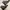 Dr Martens 1460 Blacksmooth Serena Made in Thailand photo 5
