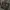Rive Gauche YSL small canvas tote bag photo 1