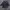 Ma cherie sigilism parka jacket* photo 1