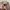 Pop mart TINYTINY Prologue Series photo 3