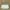 No Brand Sling Bag/crossbody Bag