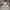 GAP Streetwear Hoody Pria Gray