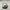 MLB OAKLAND ATHLETICS