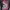 KAOS STUSSY PSYCHEDELIC TEE / T-SHIRT  STUSSY photo 5
