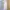 Lingerie Babydoll Bunga-bunga Rok Renda photo 1
