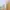 Lingerie Babydoll Bunga-bunga Rok Renda photo 5