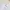 Lingerie Babydoll Bunga-bunga Rok Renda photo 3