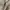 levi’s orange tab pleated trousers photo 5