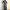 Midi Bodycon Dress Span Turtle Neck Lengan Pendek