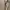 us military trousers photo 5