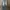 Jeans fading Jiggy Gen photo 1