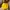 Cdl zip brazilian photo 1