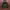 Hody kappa Velvet  photo 1
