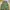 BALLON CARGO JOGGER PANTS photo 4