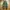 BALLON CARGO JOGGER PANTS photo 3