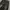 Baggy black wash patern photo 6