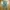 TROUSER ARMY CARGO PANTS photo 3