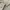 Military Cargo Pants Cream photo 8