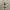 Military Cargo Pants Cream photo 6