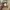 Military Cargo Pants Cream photo 5