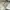 Vintage 70’s M-65 Us Army Cargo OG Pants photo 8