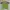 BFL Extreme Fit Sport/Outdoor/Running/Activewear/Trailrun photo 4