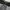 CLIM BUCK Urban Sport/Outdoor/Running/Activewear/Trailrun