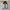 Adidas Gorpcore Indie Sneakers Pria black cream photo 3