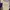 Fiorentina Home 1991-1992 Original Bnwt photo 4