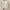 Spao cable knit crewneck sweater rajut academia white photo 4