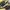 Adidas Gorpcore Indie Sneakers Pria black yellow photo 2