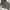 Dunlop & SPAO Metanoia Crewneck Take All (M) photo 2