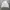 Naiki Swoosh Sweatshirt Jacket 