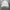 Naiki swoosh sweatshirt jacket  photo 7