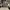 Baggy Jeans Anolorcode  photo 3