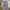 Baggy Jeans Anolorcode  photo 5