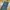KENGO MULTI POCKET CARGO PANTS photo 2