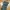 LOW PROFILE CARGO PANTS photo 2